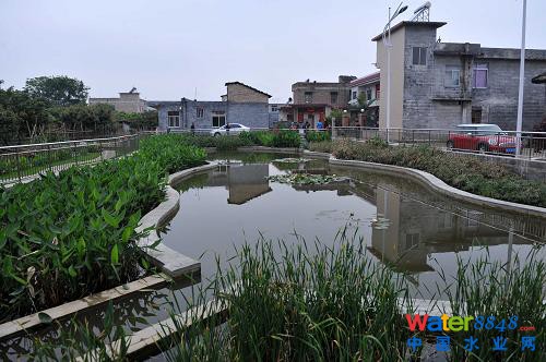 在廣西玉林市玉東新區(qū)茂林鎮(zhèn)金谷村,污水處理設(shè)施不僅改善了環(huán)境,也成了村里一道美麗風(fēng)景(4月10日攝)。 蒼蠅亂飛的臭水溝不見了,池塘的死水變活了,臟亂差的農(nóng)村變美了……廣西積極推進(jìn)農(nóng)村環(huán)境連片整治示范工作,讓越來越多的農(nóng)村舊貌換新顏。2012年,廣西共有18個縣500個村完成了示范整治任務(wù),實施污水處理設(shè)施487套、生活垃圾收集轉(zhuǎn)運設(shè)施設(shè)備1.2226萬個(臺、套),受益人口180萬。今年,廣西計劃投資5.25億元,在19個縣(自治縣、市、區(qū))開展農(nóng)村環(huán)境連片整治示范項目,使全廣西農(nóng)村每年可增加生活污水處理能力1350萬噸。(新華社記者 周華 攝)