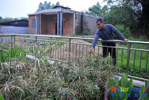 在廣西玉林市玉東新區(qū)茂林鎮(zhèn)金谷村,村民趙必初在查看自家門前的污水處理設(shè)施。(新華社記者 周華 攝)