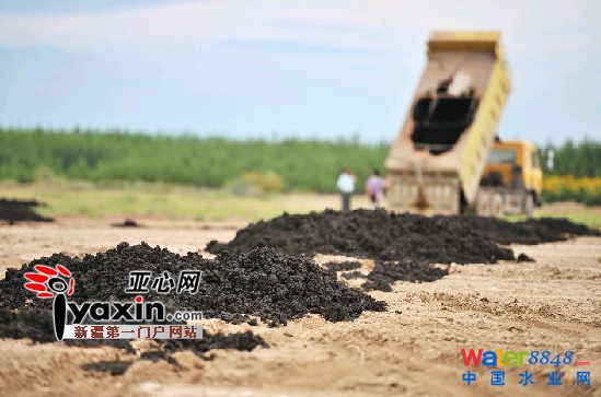 烏魯木齊市八家污水處理廠只有一家處理了污泥 烏魯木齊市八家污水處理廠只有一家處理了污泥