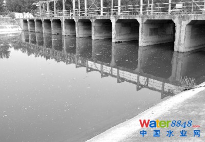 淮河支流成“黑水河”污水處理或成排污