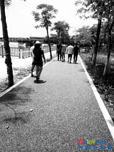海滄濱湖路段泰地公園剛完工不久的透水路面，引來市民稱贊。
