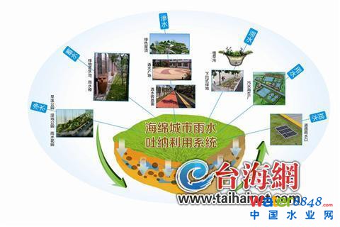 廈門要建成“海綿城市” 馬路像海綿一樣“吸水”