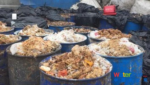 上海多地餐廚垃圾違規(guī)賣(mài)給養(yǎng)殖場(chǎng) 喂豬吃肯德基
