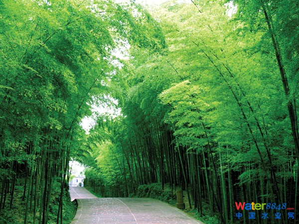 中國104座名山 - 曉慧 - 曉慧的博客