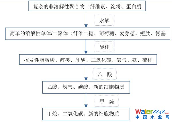污泥處理