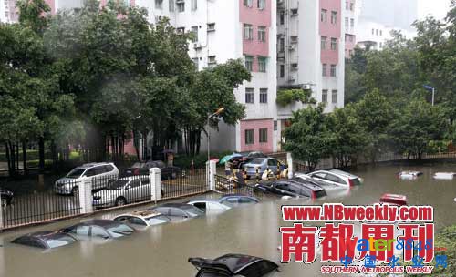 廣州“水戰(zhàn)”:鯉魚在高樓間水中暢游