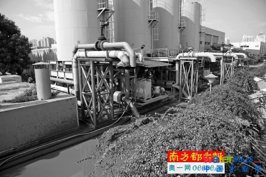 獵德污水廠運(yùn)污泥 臨江大道臭味飄