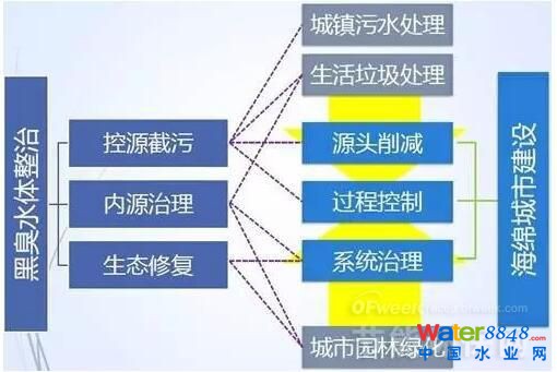 圖2 黑臭水體VS海綿城市建設(shè)