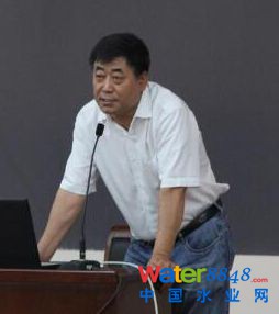 王峰慧