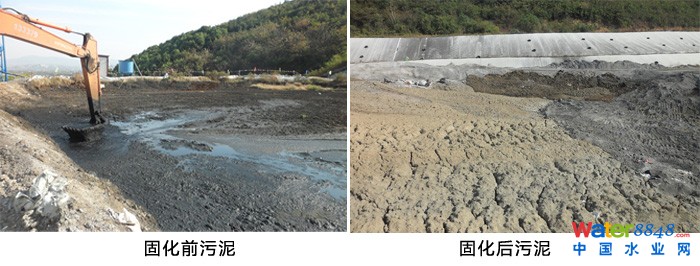 污泥固化
