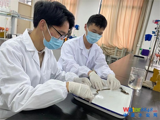闂傚倸鍊搁崐鎼佸磹閹间礁纾归柣鎴eГ閸ゅ嫰鏌涢幘鑼槮闁搞劍绻冮妵鍕冀椤愵澀绮剁紓浣插亾濠㈣泛顑勭换鍡涙煏閸繃鍣洪柛锝呮贡缁辨帡鎮╅棃娑掓瀰闂佸搫鐬奸崰鏍嵁閹达箑绠涢梻鍫熺⊕椤斿嫰姊绘担鍛婂暈濞e洦妞介敐鐐村緞閹邦儵锕傛煕閺囥劌鐏犻柛妤勬珪娣囧﹪濡堕崒姘濠电偛鐡ㄧ划宥夊磿鐎圭姷浜欓梻浣虹帛閿曘垹岣胯缁傛帒饪伴崨顖滐紲婵犮垼娉涢敃锔剧矓濞差亝鐓熸繛鎴濆船閺嬫盯鎽堕敐澶嬬叄闊洦鍑瑰ḿ鎰箾閸儳鐣烘慨濠冩そ楠炴牠鎮欓幓鎺戭潕闂備礁鎼幏瀣閻愬弬锝夊箛閻楀牏鍔堕悗骞垮劚濡矂骞忕紒妯肩閺夊牆澧介崚浼存煙鐠囇呯瘈鐎规洦鍨堕幃娆撴嚑椤掍焦鐣烽梻浣瑰缁诲倿骞婅箛娑樼;闁靛/鈧崑鎾舵喆閸曨剛顦繝鈷€鍕垫疁妤犵偛妫濆顕€宕煎┑鍫濆Ъ闂佽崵濞€缂傛艾鈻嶉敐鍥╃煋婵炲樊浜濋悡娑樏归敐鍫綈鐎规洖鐭傞弻鈩冩媴鐟欏嫬纾抽梺杞扮劍閹瑰洭寮幘缁樻櫢闁跨噦鎷�