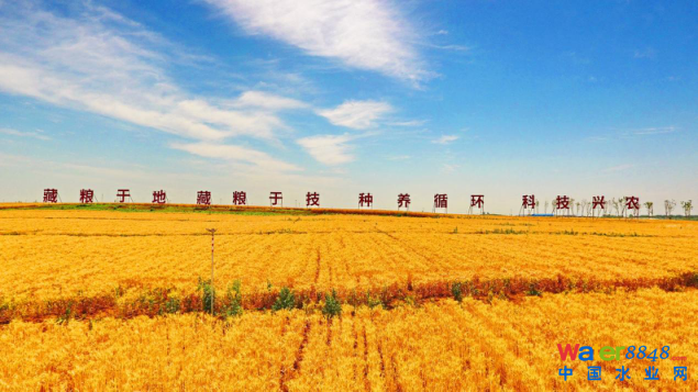牧原集團(tuán)_fororder_圖片12