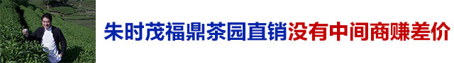 廣告