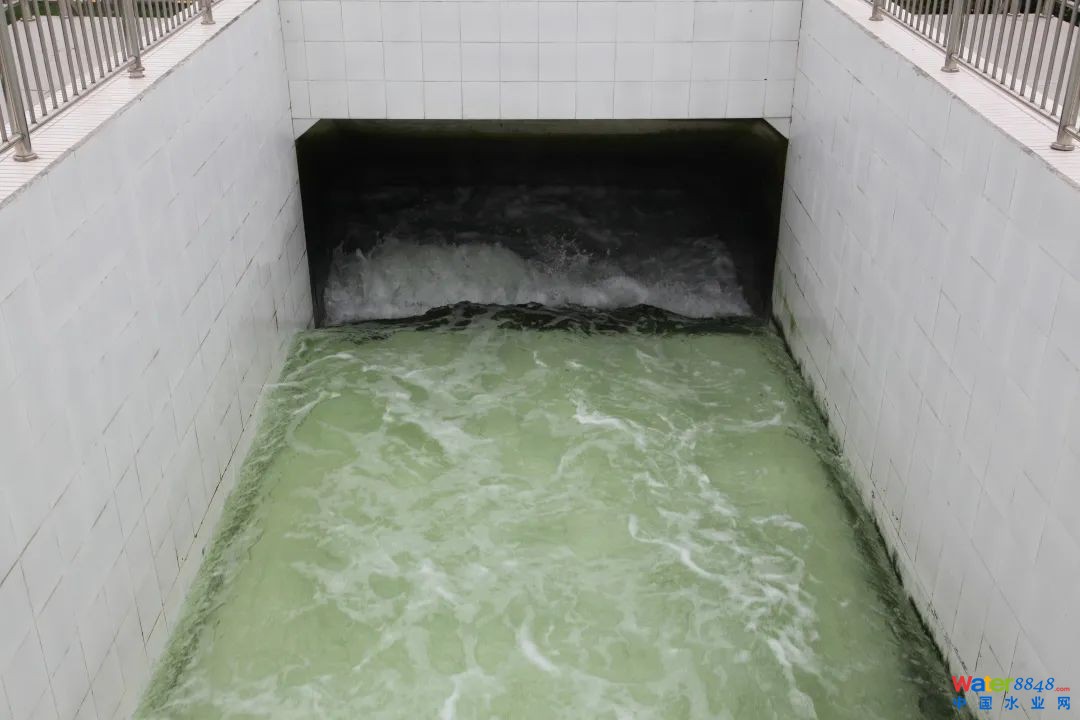 鐐瑰嚮鎵撳紑鍘熷浘