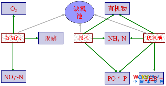 從幾個常見現(xiàn)象談污水處理廠設計和運行的精細化問題