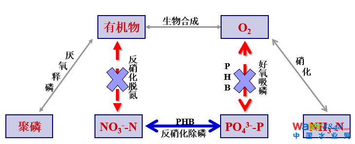 從幾個常見現(xiàn)象談污水處理廠設計和運行的精細化問題