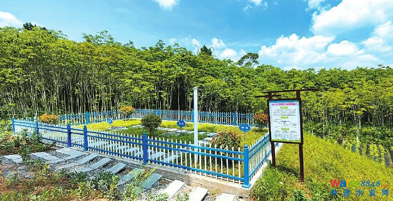 變廢為“寶” 巴中打造農(nóng)村生活污水治理全國樣板「相關(guān)圖片」