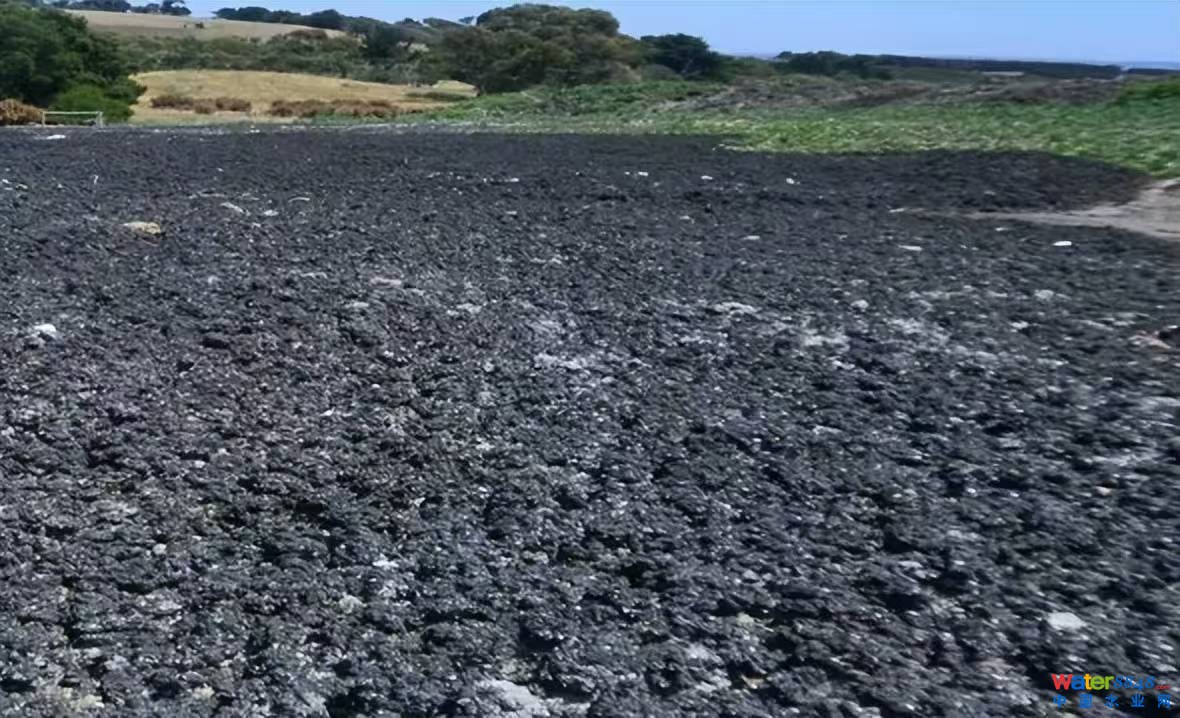 鐐瑰嚮鎵撳紑鍘熷浘